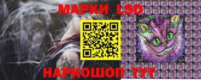 сатива Кинель