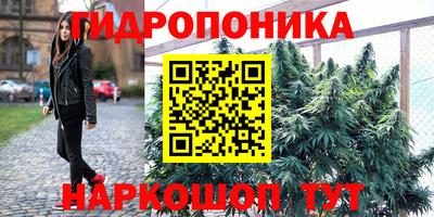 крисы Кимры
