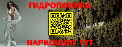 крисы Кимры