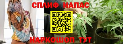 дурь Кингисепп