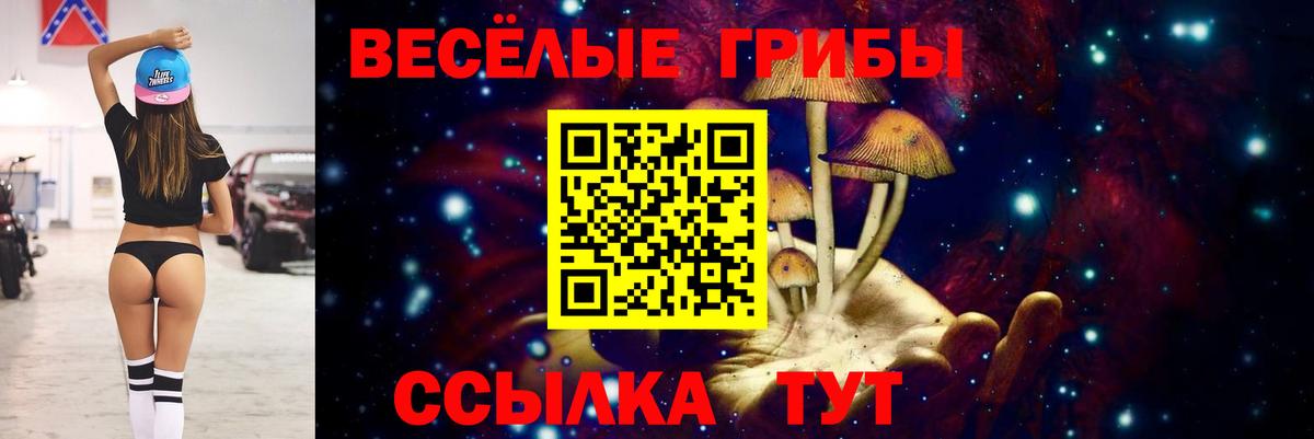 Псилоцибиновые грибы ЛСД  Вход с VPN  Кубинка  Псилоцибиновые грибы Magic Shrooms 